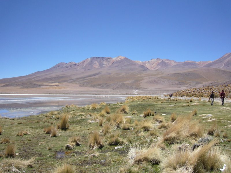 Travel - Bolivia - Salar De Uyuni - The Lakes